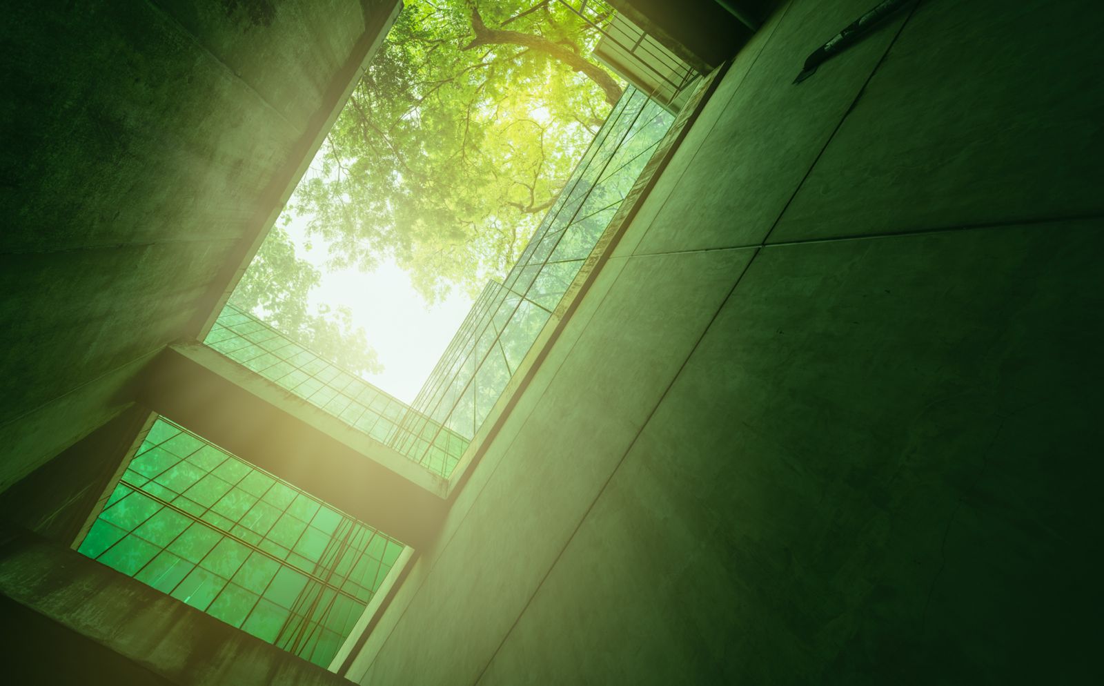 Engagement environnemental Eventus